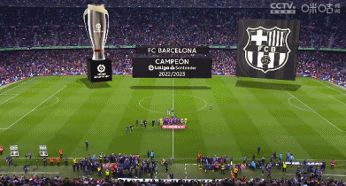 别把跑车当坦克！莱奥转型中锋，是补了短板却废了武功？（别拿跑车去撞坦克！莱奥改踢中锋，是扬长避短还是自废武功？）